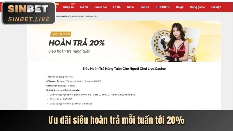Sự Kiện & Khuyến Mãi Đặc Biệt